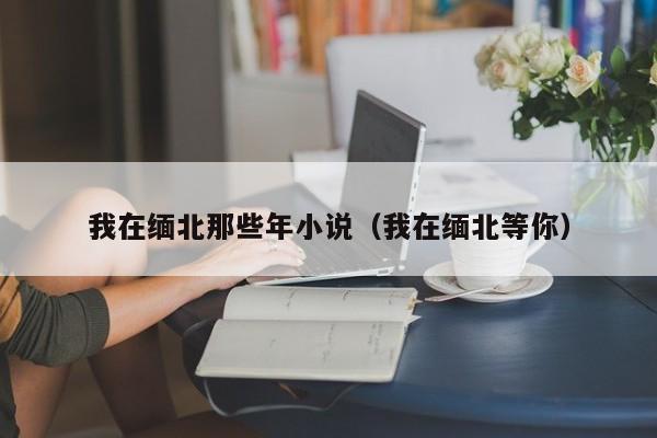我在缅北那些年小说（我在缅北等你）