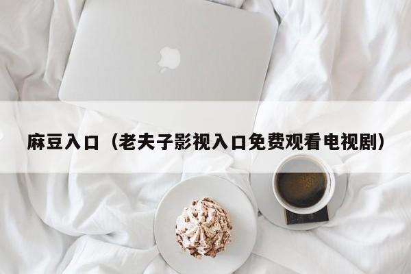 麻豆入口（老夫子影视入口免费观看电视剧）