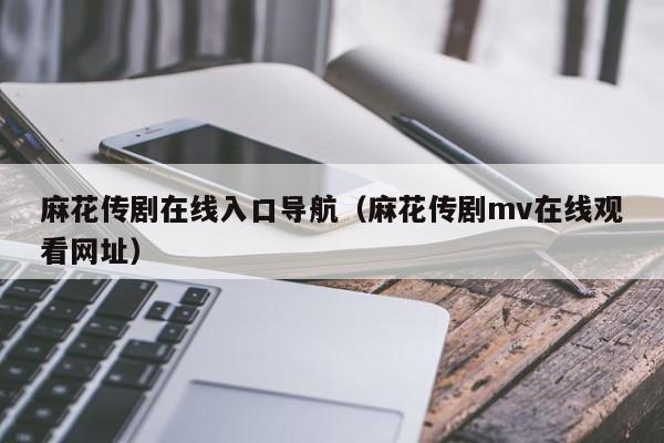麻花传剧在线入口导航（麻花传剧mv在线观看网址）